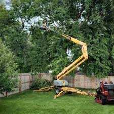 Best Lawn Watering Services  in Fayetteville, PA