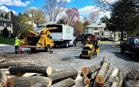 Best Grass Overseeding  in Fayetteville, PA