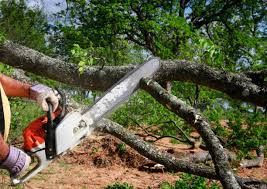 Best Mulching Services  in Fayetteville, PA