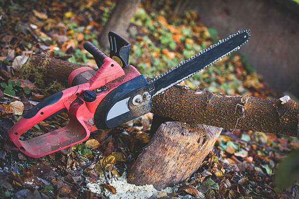 Best Arborist Consultation Services  in Fayetteville, PA